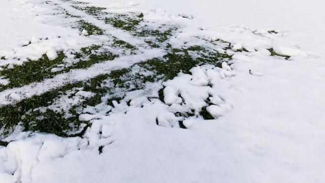 VOLLEDIG AMATEURVOETBAL VELD AFGELAST KOMEND WEEKEND
